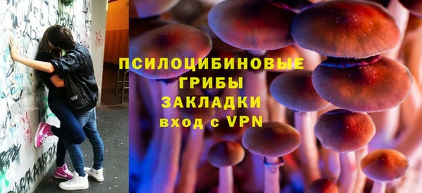 МДПВ Бикин