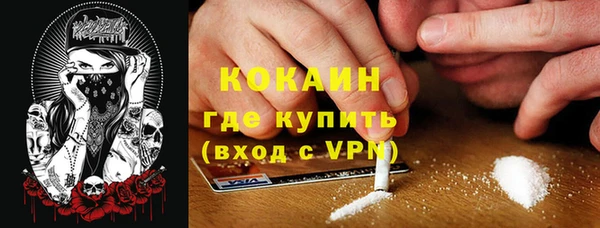 spice Новозыбков