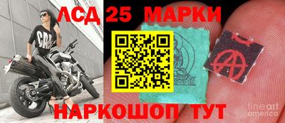 хмурый Абинск