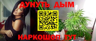 не бодяженный Гай