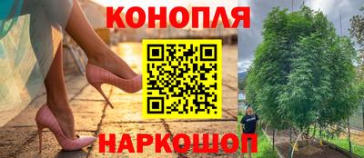 мескалин Гатчина