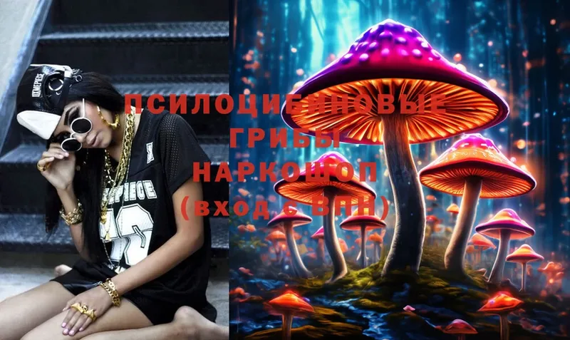 Галлюциногенные грибы Cubensis  Алатырь 