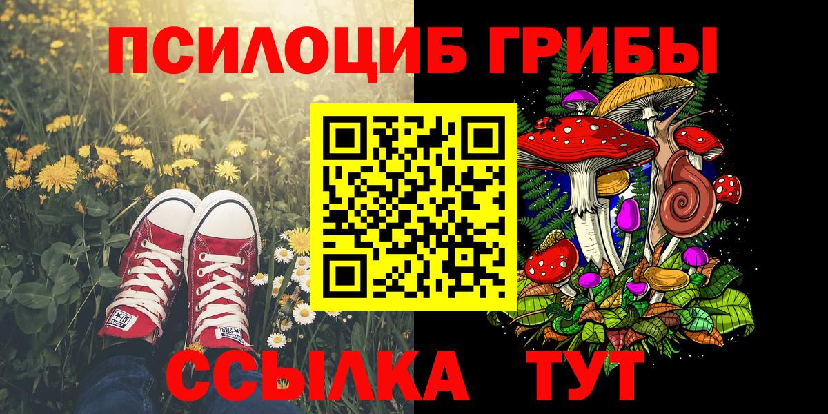 Алатырь  Псилоцибиновые грибы MAGIC MUSHROOMS  Вход с VPN  Псилоцибиновые грибы MAGIC MUSHROOMS 
