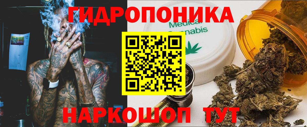 Каннабис Ganja  Вход с VPN  Шишки марихуана White Widow  Алатырь  Марихуана конопля  Канабис LSD WEED 